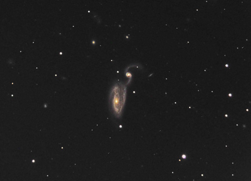 Le Hron Arp 84
