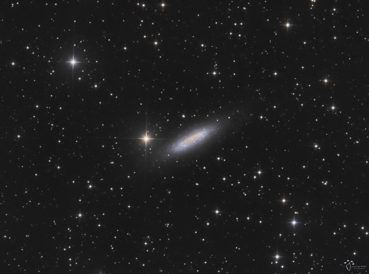 NGC_6503.jpg
