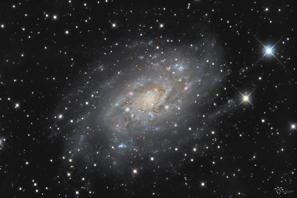 NGC 2403 