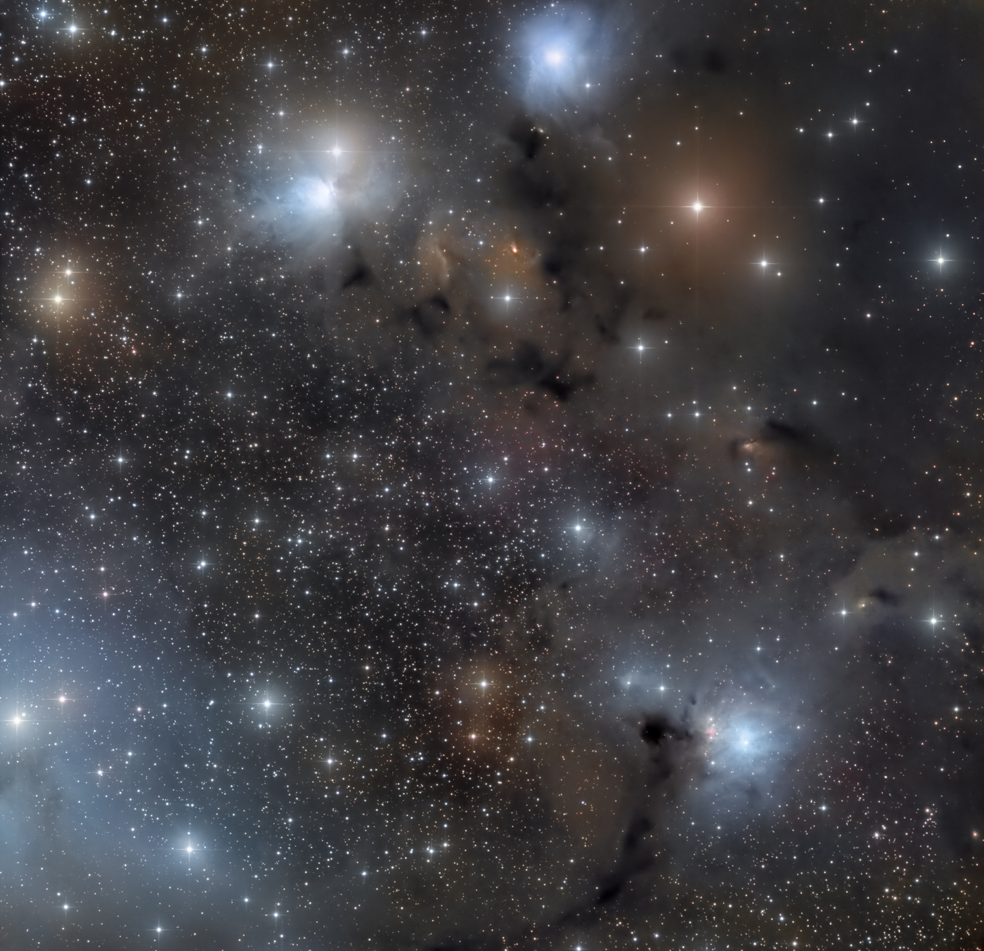 IC 446