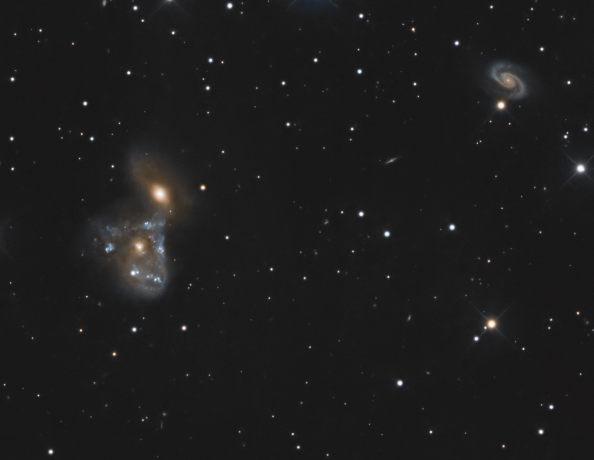 NGC 2445