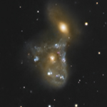 NGC 2445