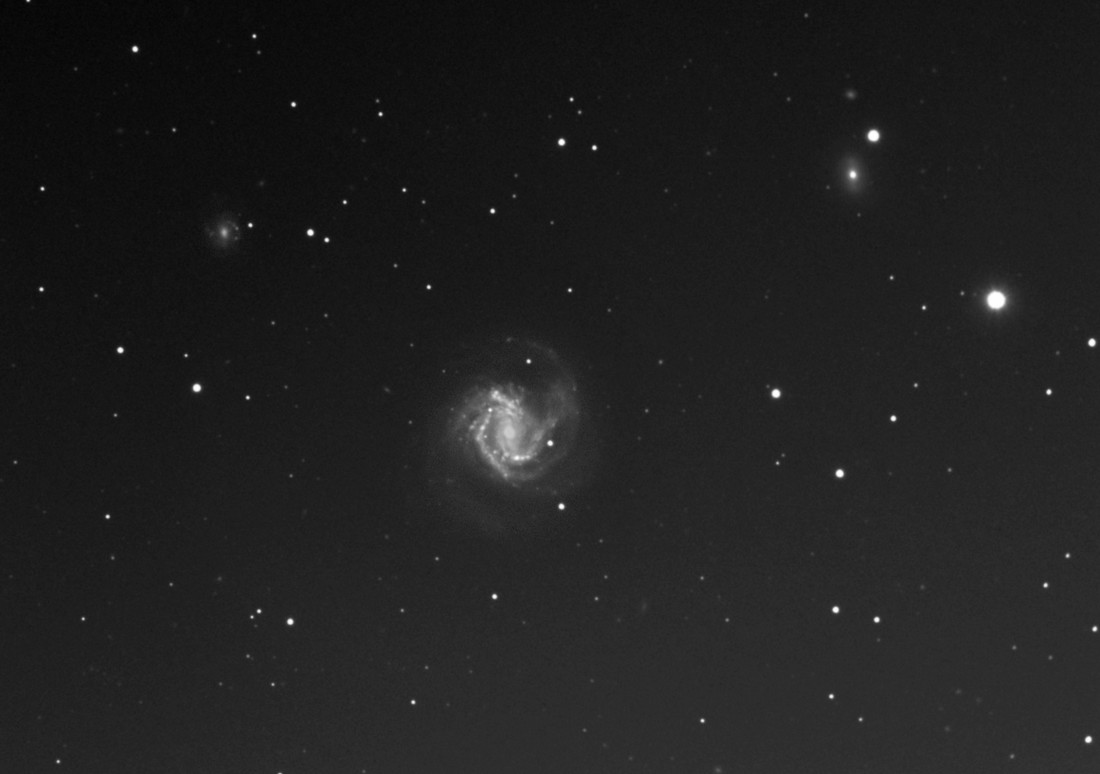 M 61